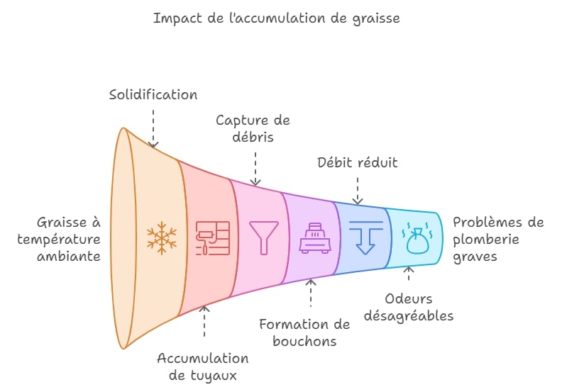 Impact de lacumulation de graisse