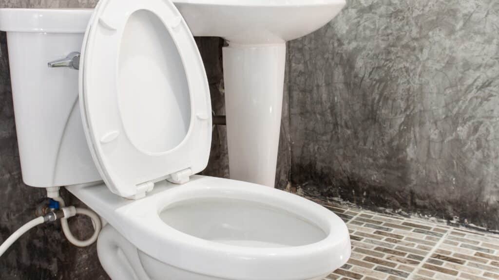Conseils d'entretien pour éviter les toilettes bouchées