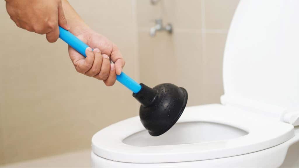 Utilisation d'outils et techniques pour venir à bout des toilettes bouchées par les excréments