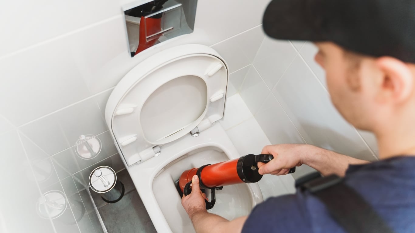 Les avantages et inconvénients des déboucheurs WC professionnels -  Proxi-Débouchage