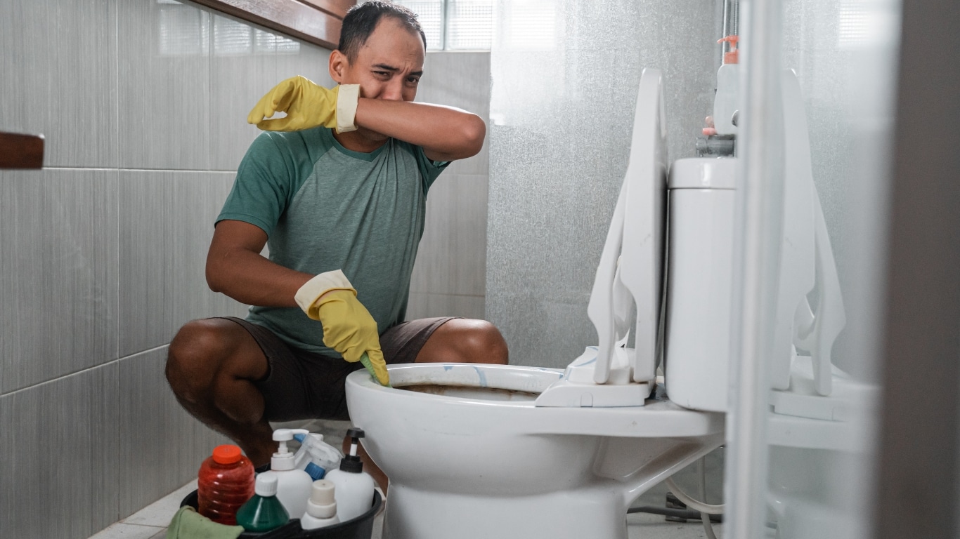 Comment éliminer les mauvaises odeurs de vos toilettes ? - Proxi