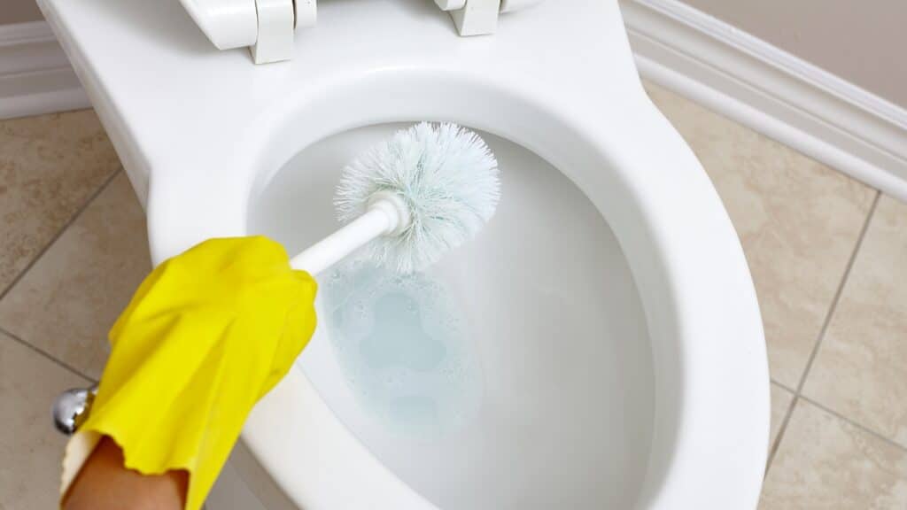 étapes pour nettoyer les toilettes avec du bicarbonate de soude