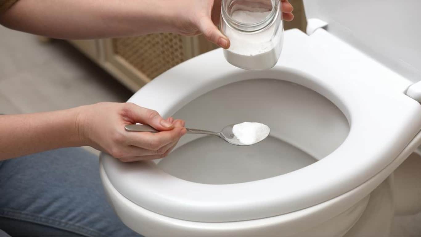 Comment déboucher efficacement vos toilettes ? - Proxi-Débouchage