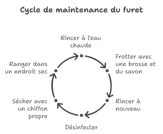 Cycle de maintenance du furet