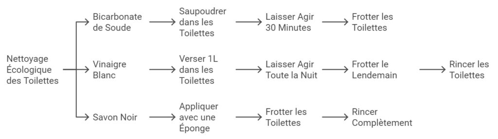 Nettoyage ecologique des toilettes