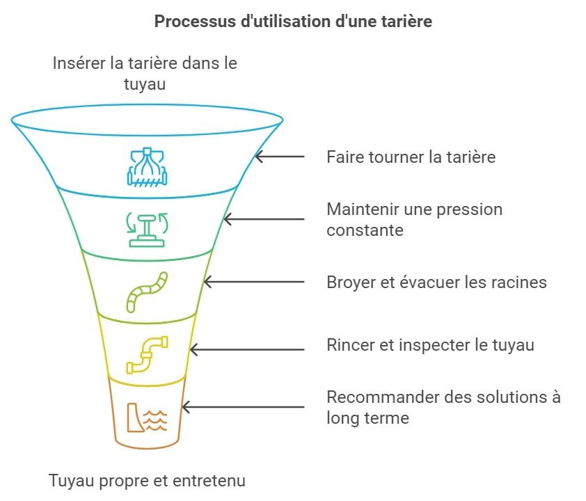 Processus dutilisation dune tariere